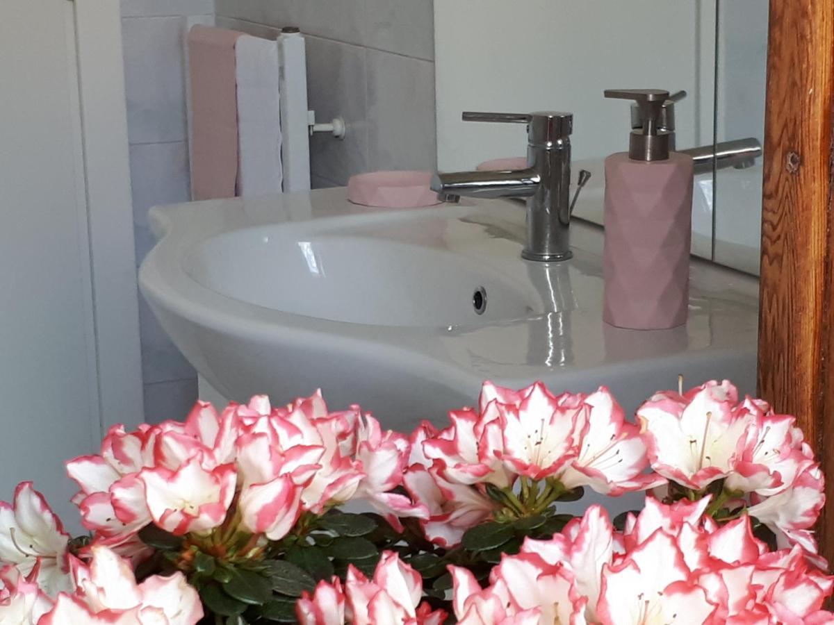 Casa Rosetta Bed and Breakfast Σορέντο Εξωτερικό φωτογραφία
